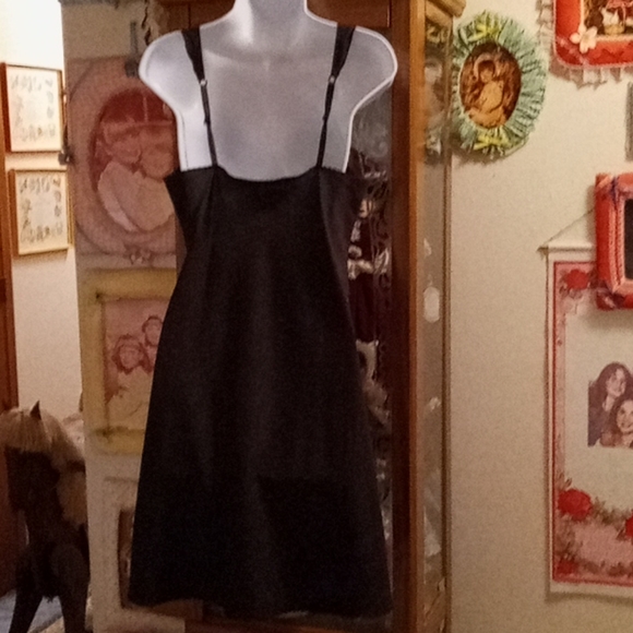 Bundle of 2, Like New, Sexy, Midi, Slips🦋🦋 - Picture 5 of 13